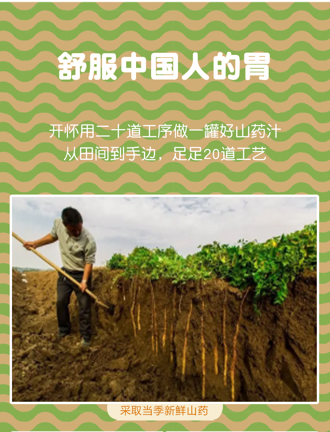山药汁2-拷贝_11.jpg